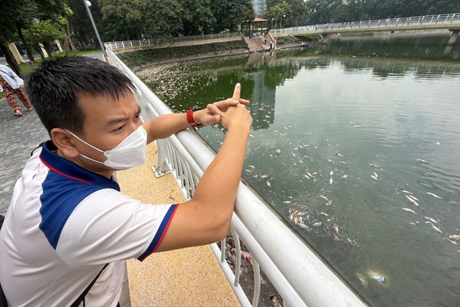 Hà Nội: Cá chết hàng loạt, nổi trắng hồ điều hòa công viên Nghĩa Đô- Ảnh 7. Hà Nội: Cá chết hàng loạt, nổi trắng hồ điều hòa công viên Nghĩa Đô- Ảnh 7.
