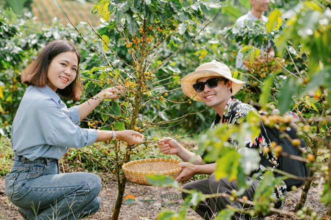 Làm du lịch từ những điều khác biệt: Kể chuyện Khe Sanh bằng cà phê- Ảnh 3. Làm du lịch từ những điều khác biệt: Kể chuyện Khe Sanh bằng cà phê- Ảnh 3.