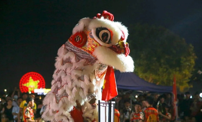 Dàn 'anh tài' lân sư rồng đổ bộ Đà Nẵng, tranh tài Mai Hoa Thung- Ảnh 3.