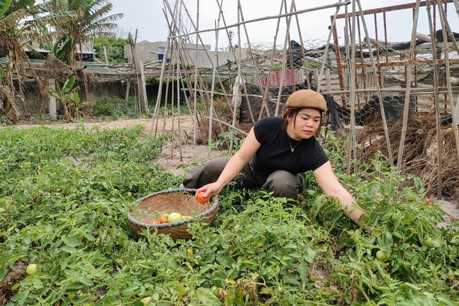 Cô giáo của những mầm xanh nơi đầu sóng- Ảnh 1. Cô giáo của những mầm xanh nơi đầu sóng- Ảnh 1.