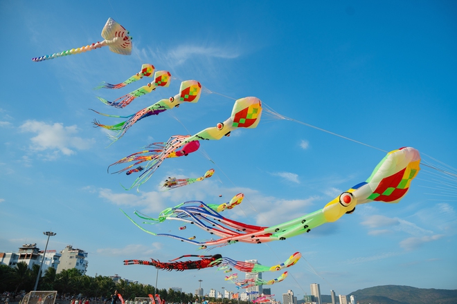 Những cánh diều khổng lồ hút hàng ngàn người đến biển Quy Nhơn- Ảnh 17. Những cánh diều khổng lồ hút hàng ngàn người đến biển Quy Nhơn- Ảnh 17.