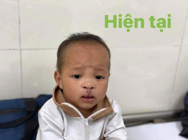 Người miệt m&agrave;i gieo nắng, lan tỏa y&ecirc;u thương  - Ảnh 3.