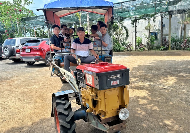 Vườn tr&aacute;i c&acirc;y trĩu quả c&aacute;ch TP.HCM 2 giờ đi xe: Kh&aacute;ch t&igrave;m đến 'ăn thả ga' - Ảnh 9.