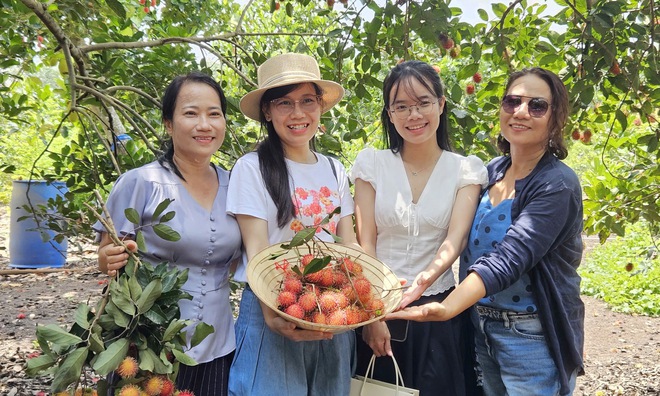 Vườn tr&aacute;i c&acirc;y trĩu quả c&aacute;ch TP.HCM 2 giờ đi xe: Kh&aacute;ch t&igrave;m đến 'ăn thả ga' - Ảnh 16.