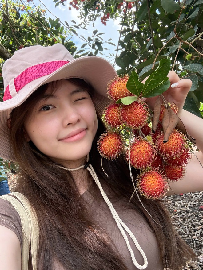 Vườn tr&aacute;i c&acirc;y trĩu quả c&aacute;ch TP.HCM 2 giờ đi xe: Kh&aacute;ch t&igrave;m đến 'ăn thả ga' - Ảnh 3.