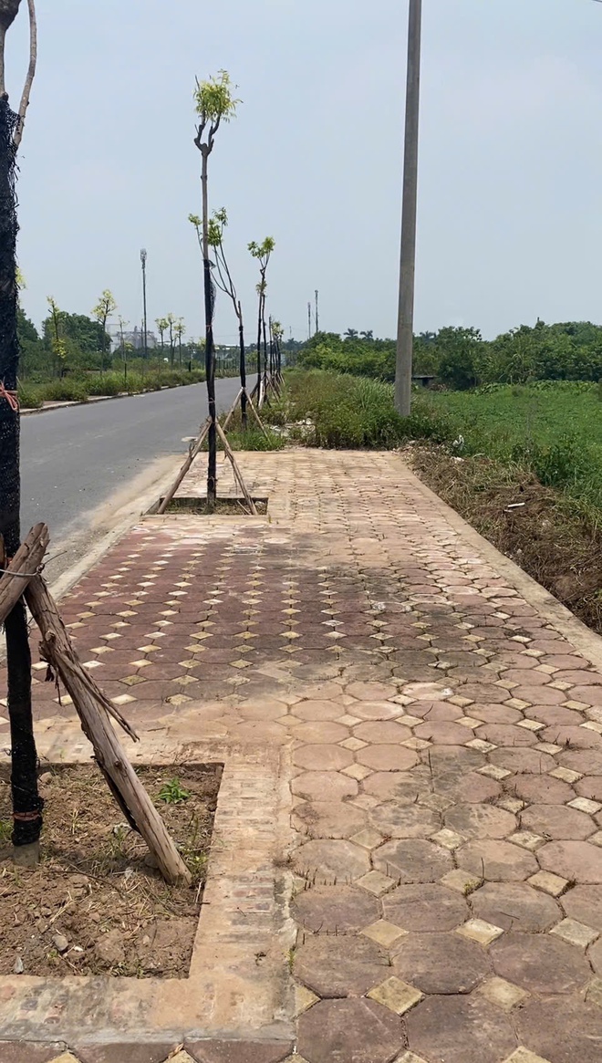 Bị nói 'lo chuyện bao đồng', chàng trai vẫn đều đặn làm việc này mỗi ngày- Ảnh 6.