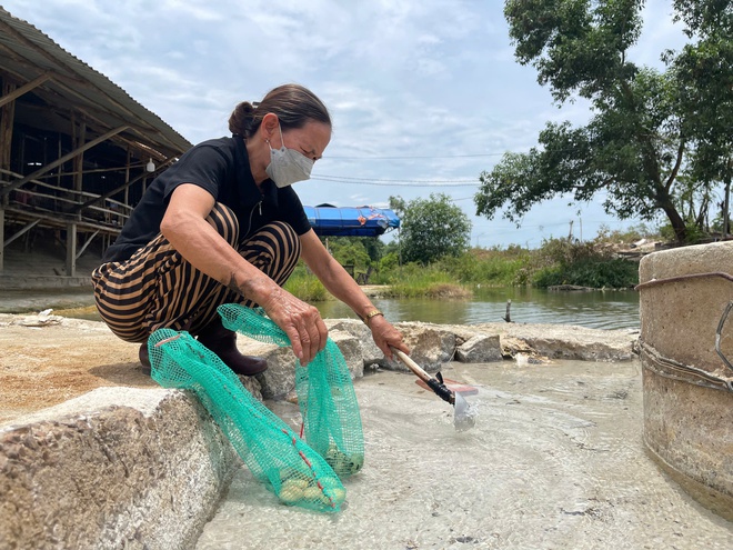 Độc đ&aacute;o trải nghiệm luộc trứng bằng suối nước n&oacute;ng ở Gia Lai- Ảnh 4.