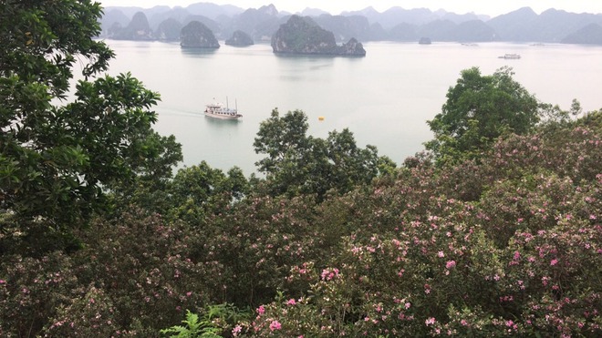 B&atilde;i biển &iacute;t người biết tới ở Việt Nam v&agrave;o top 100 đẹp nhất thế giới- Ảnh 2.