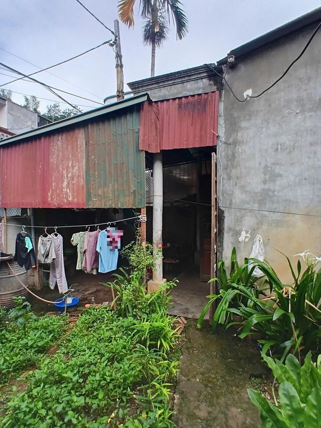 &Aacute;nh s&aacute;ng từ một m&aacute;i nh&agrave; - Ảnh 3.