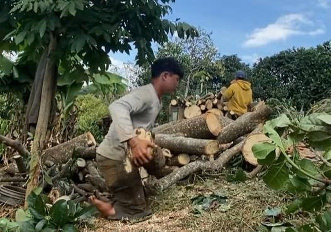 Bài đăng tìm việc mở ra cánh cửa mới cho chàng trai khuyết tật - Ảnh 2.
