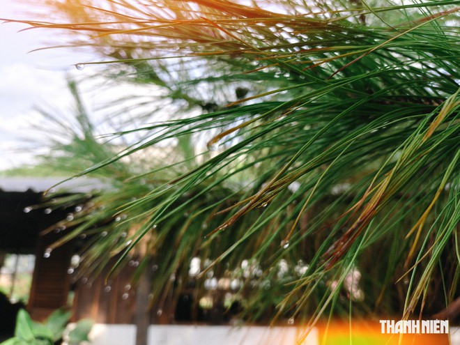 Trải nghiệm camera Oppo Reno 16 Pro: Khi công nghệ làm sống dậy chất ảnh hoài niệm - Ảnh 3.