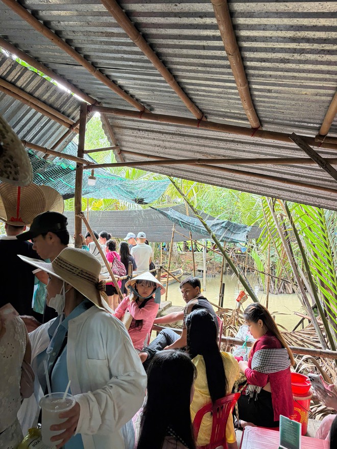 Tắc xuồng ba lá ở cồn Thới Sơn- Ảnh 1.