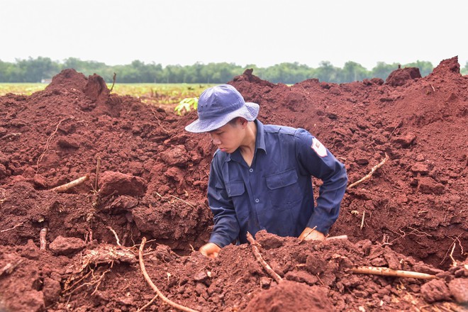  Tìm thấy mộ tập thể cùng nhiều di vật súng, bút, dép, bình tông - Ảnh 1.