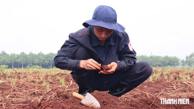  Phát hiện thêm nhiều di vật, dấu hiệu xương cốt tại xã Minh Đức - Ảnh 9.