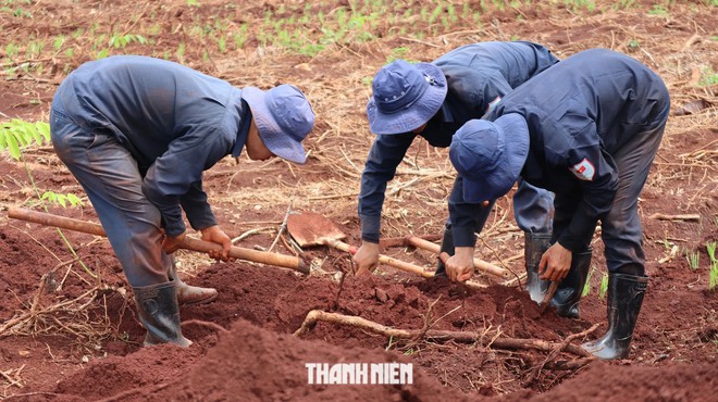  Phát hiện thêm nhiều di vật, dấu hiệu xương cốt tại xã Minh Đức - Ảnh 4.