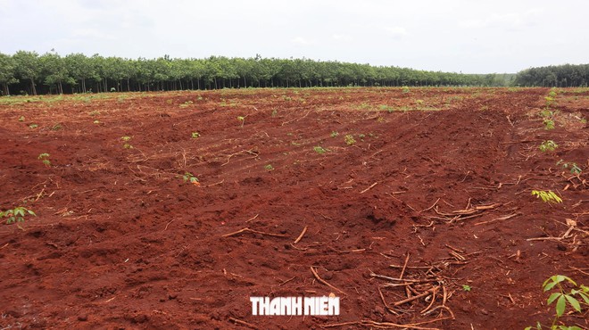 Đồng Nai: Ph&aacute;t hiện th&ecirc;m nhiều di vật, dấu hiệu xương cốt tại x&atilde; Minh Đức - Ảnh 11.