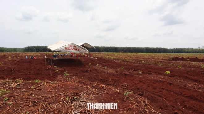 Đồng Nai: Ph&aacute;t hiện th&ecirc;m nhiều di vật, dấu hiệu xương cốt tại x&atilde; Minh Đức - Ảnh 10.