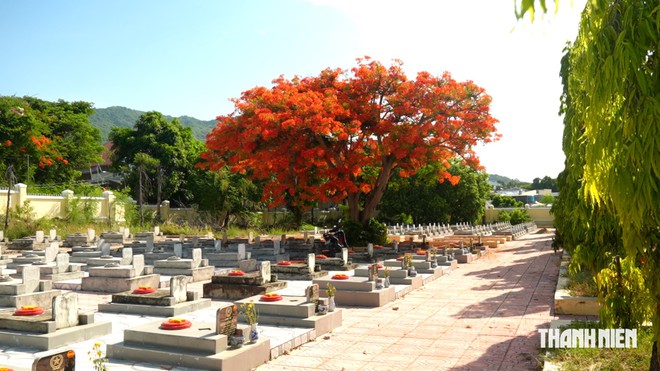 50 năm thân nhân tìm liệt sĩ Trường Sa: Chỉ huy đầu tiên ngã xuống ở đảo Sinh Tồn- Ảnh 6.