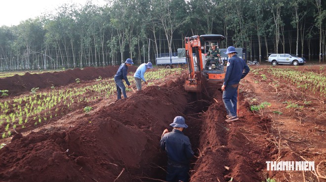 Đồng Nai: Khẩn thiết tìm nhân chứng chứng phục vụ quy tập hài cốt liệt sĩ - Ảnh 6.