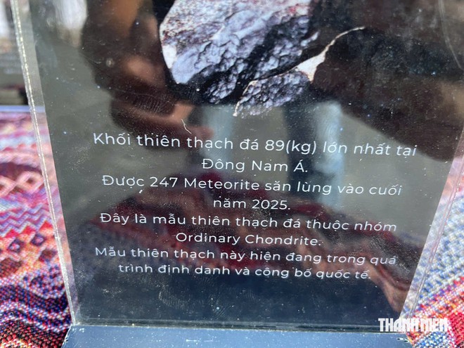 Những 'vị khách đến từ vũ trụ' xuất hiện tại Quy Nhơn- Ảnh 7.