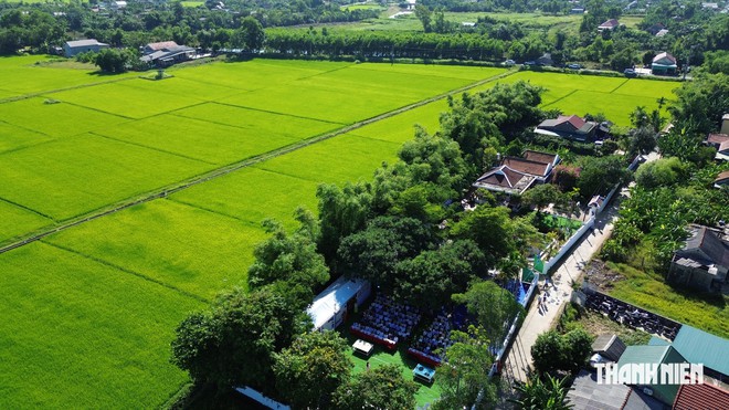Triển l&atilde;m L&ecirc; B&aacute; Đảng: Từ x&aacute;c B-52 đến c&aacute;nh chim h&ograve;a b&igrave;nh- Ảnh 3.