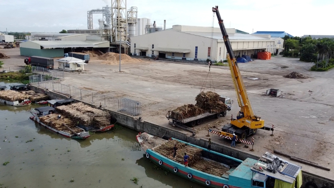 Biến cây rừng đất phèn thành gỗ đóng giường, tủ- Ảnh 6.