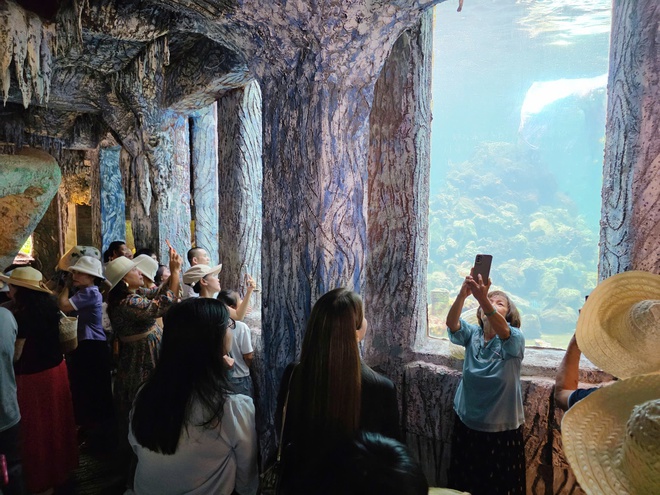 Độc đáo thủy cung trong con tàu 'hóa thạch' giữa vịnh Nha Trang- Ảnh 5.