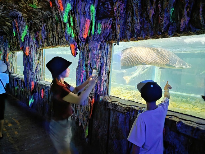 Độc đáo thủy cung trong con tàu 'hóa thạch' giữa vịnh Nha Trang- Ảnh 4.