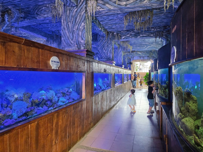 Độc đáo thủy cung trong con tàu 'hóa thạch' giữa vịnh Nha Trang- Ảnh 3.