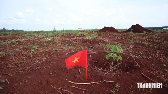 Th&ecirc;m nhiều c&acirc;y b&uacute;t c&oacute; khắc th&ocirc;ng tin trong c&aacute;c hầm mộ liệt sĩ ởx&atilde; Minh Đức - Ảnh 18.