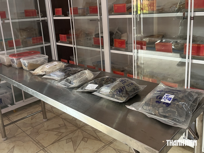 Đã quy tập 293 hài cốt liệt sĩ tại công viên Lê Thị Riêng- Ảnh 5.