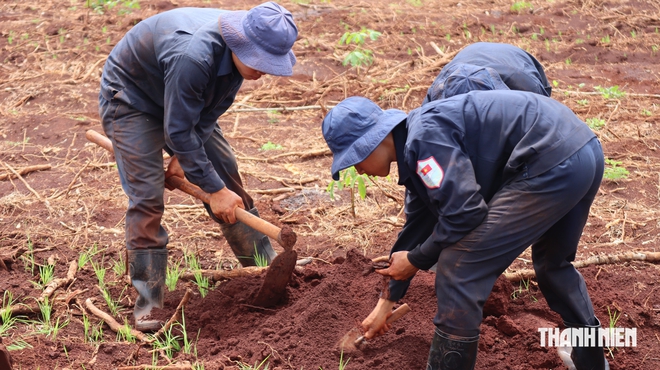 Đồng Nai: Trang trọng lễ truy điệu, an táng 29 hài cốt liệt sĩ- Ảnh 3.