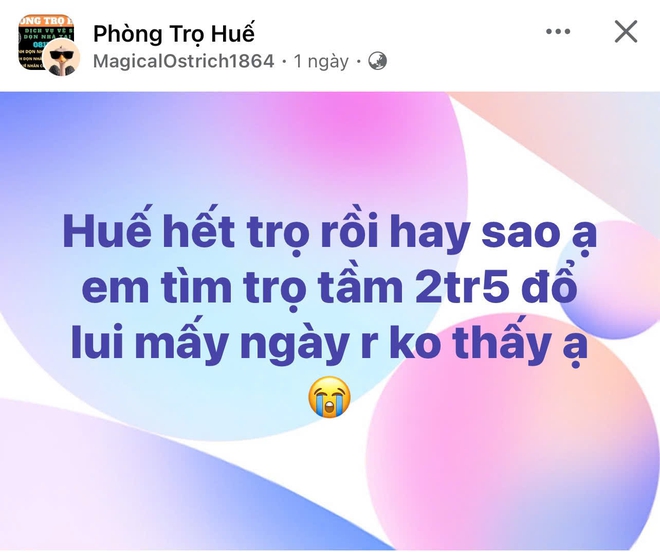 T&acirc;n sinh vi&ecirc;n chật vật t&igrave;m trọ ở Huế: 'Đi cả ng&agrave;y vẫn nhận c&aacute;i lắc đầu' - Ảnh 2.