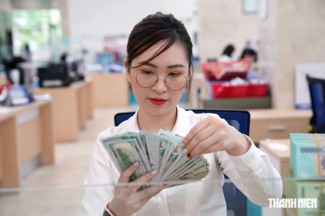 Nhập si&ecirc;u cao, tỷ gi&aacute; vẫn trụ vững - Ảnh 1.