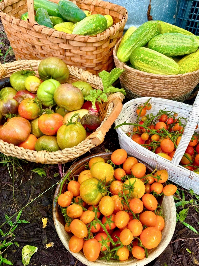 Cô gái Việt biến khoảng đất ở Mỹ thành khu vườn rau trái rực rỡ - Ảnh 3.