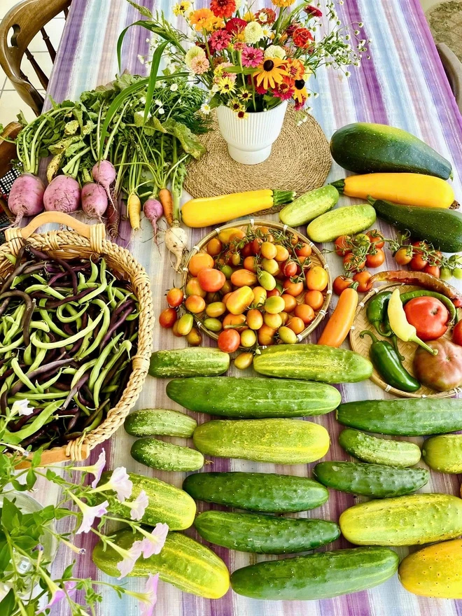 Cô gái Việt biến khoảng đất ở Mỹ thành khu vườn rau trái rực rỡ - Ảnh 2.