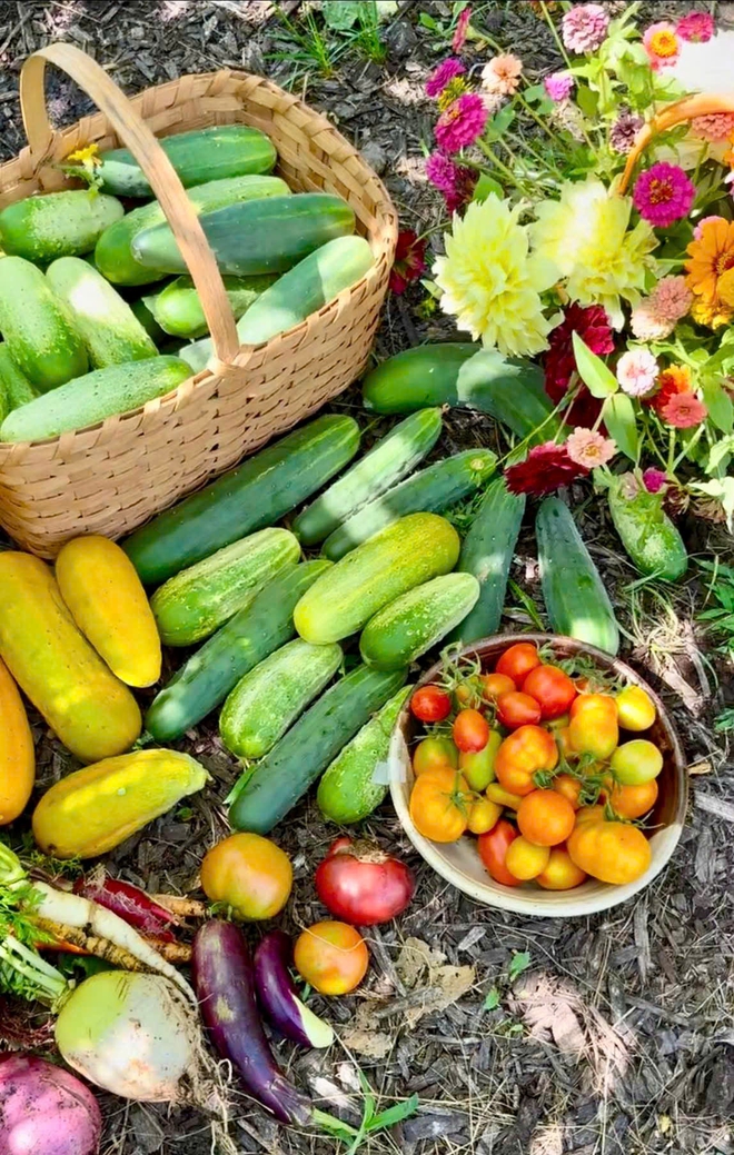 Cô gái Việt biến khoảng đất ở Mỹ thành khu vườn rau trái rực rỡ - Ảnh 4.