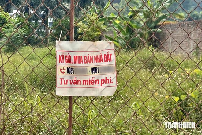 Toàn cảnh rừng phòng hộ bị villa, homestay 'bủa vây'- Ảnh 19.