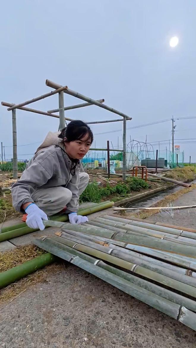 Cô gái Việt trồng vườn rau xanh tốt ở Nhật, ăn không hết còn mang tặng- Ảnh 10.