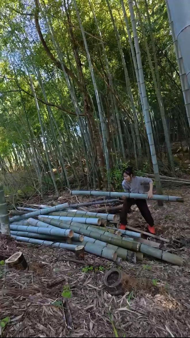 Cô gái Việt trồng vườn rau xanh tốt ở Nhật, ăn không hết còn mang tặng- Ảnh 9.