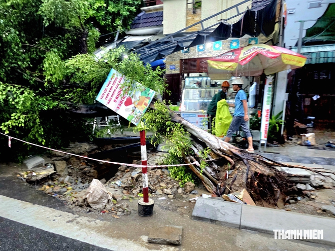 Chấn chỉnh thi công vỉa hè ở Đà Nẵng, lo ảnh hưởng cây xanh trong mùa mưa- Ảnh 3.