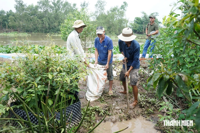 Triều cường d&acirc;ng cao, người d&acirc;n lo nước tr&agrave;n v&agrave;o vườn c&acirc;y - Ảnh 3.