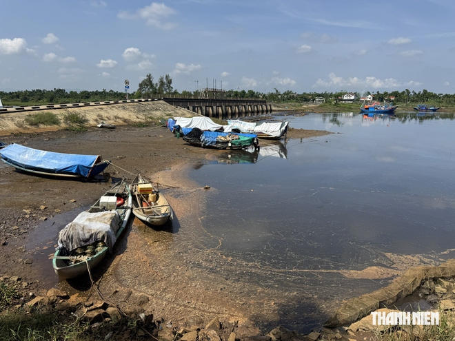 Cá chết bất thường ở đập ngăn mặn Đức Lợi, cơ quan chức năng vào cuộc - Ảnh 3.