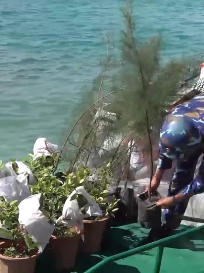 Đất liền mang triệu cây xanh gửi lại Trường Sa  - Ảnh 3.