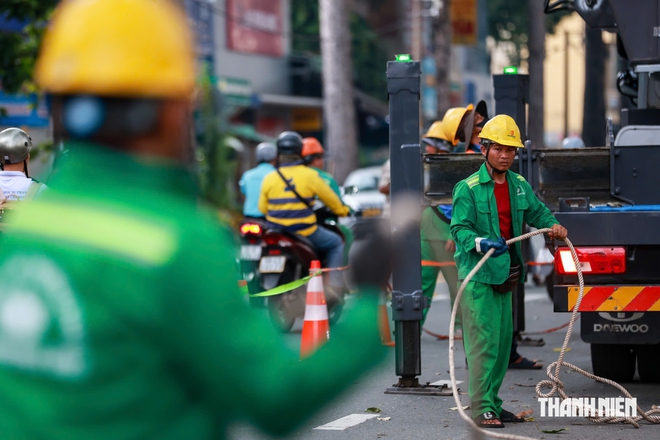 Hơn 8.000 cây cổ thụ ở TP.HCM được 'khám sức khỏe' trong mùa mưa thế nào?- Ảnh 5.