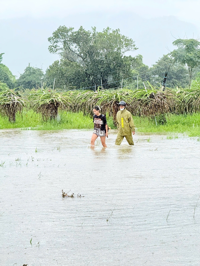 Mưa lớn, nhiều trường ở Lâm Đồng cho học sinh nghỉ học, hơn 1.000 nhà bị ngập- Ảnh 4.
