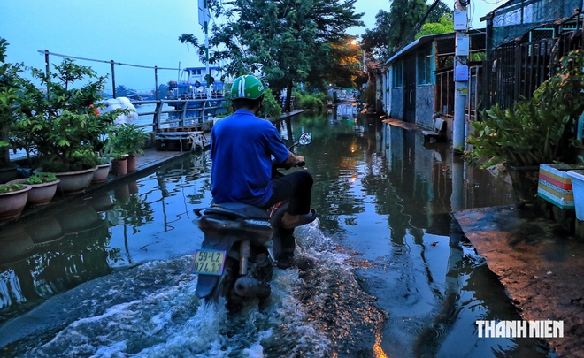 Triều cường d&acirc;ng cao ở TP.HCM, nhiều người lội nước đi l&agrave;m s&aacute;ng cuối tuần 27.9 - Ảnh 8.