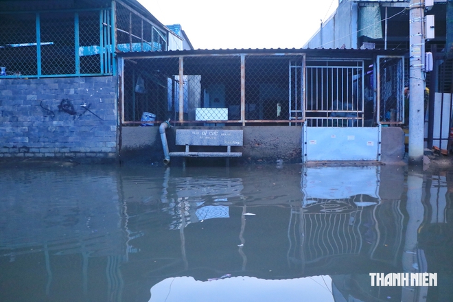 Triều cường d&acirc;ng cao ở TP.HCM, nhiều người lội nước đi l&agrave;m s&aacute;ng cuối tuần 27.9 - Ảnh 6.