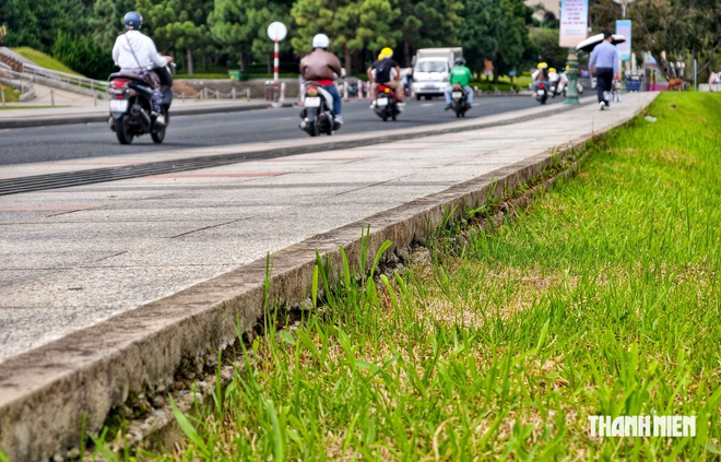 Bờ k&egrave; danh thắng quốc gia hồ Xu&acirc;n Hương đang hư hỏng thế n&agrave;o? - Ảnh 7.