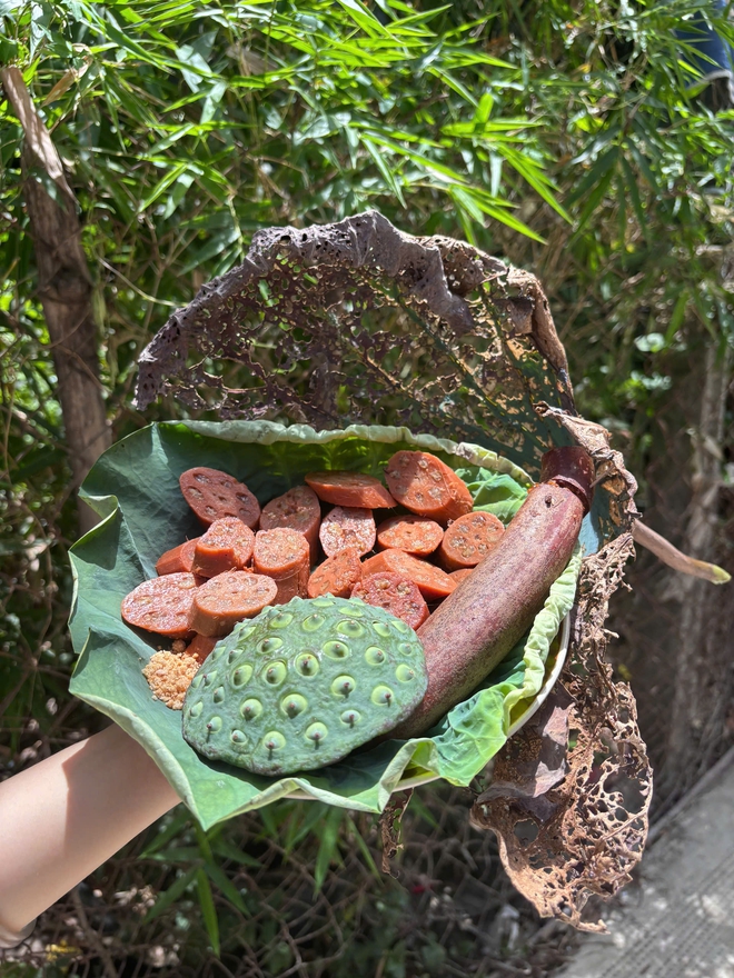 Củ sen nhồi đậu xanh - món ăn từ dân giã đến cung đình Huế - Ảnh 2.